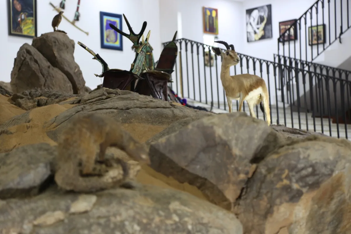 Museum of Dar El Imzad — photo 17 of 44