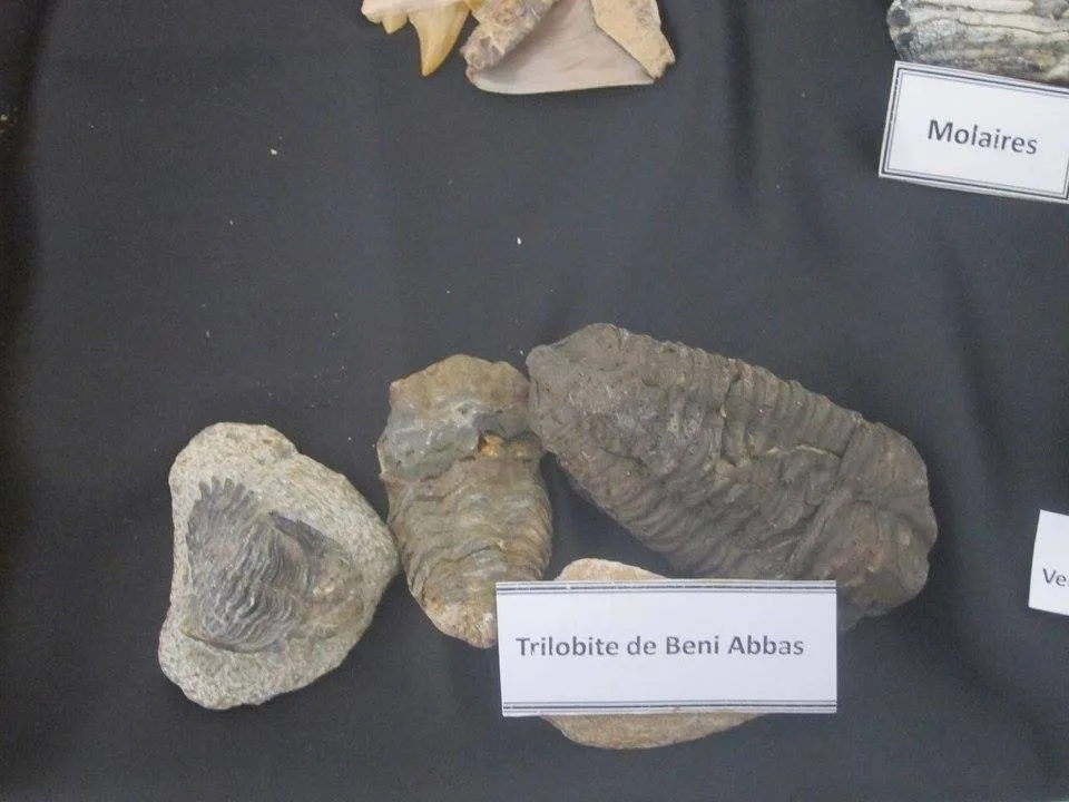 Museum of Dar El Imzad — photo 2 of 44