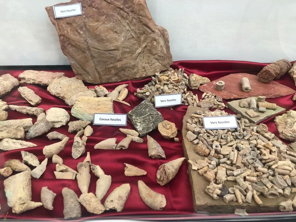 Museum of Dar El Imzad — photo 3 of 44