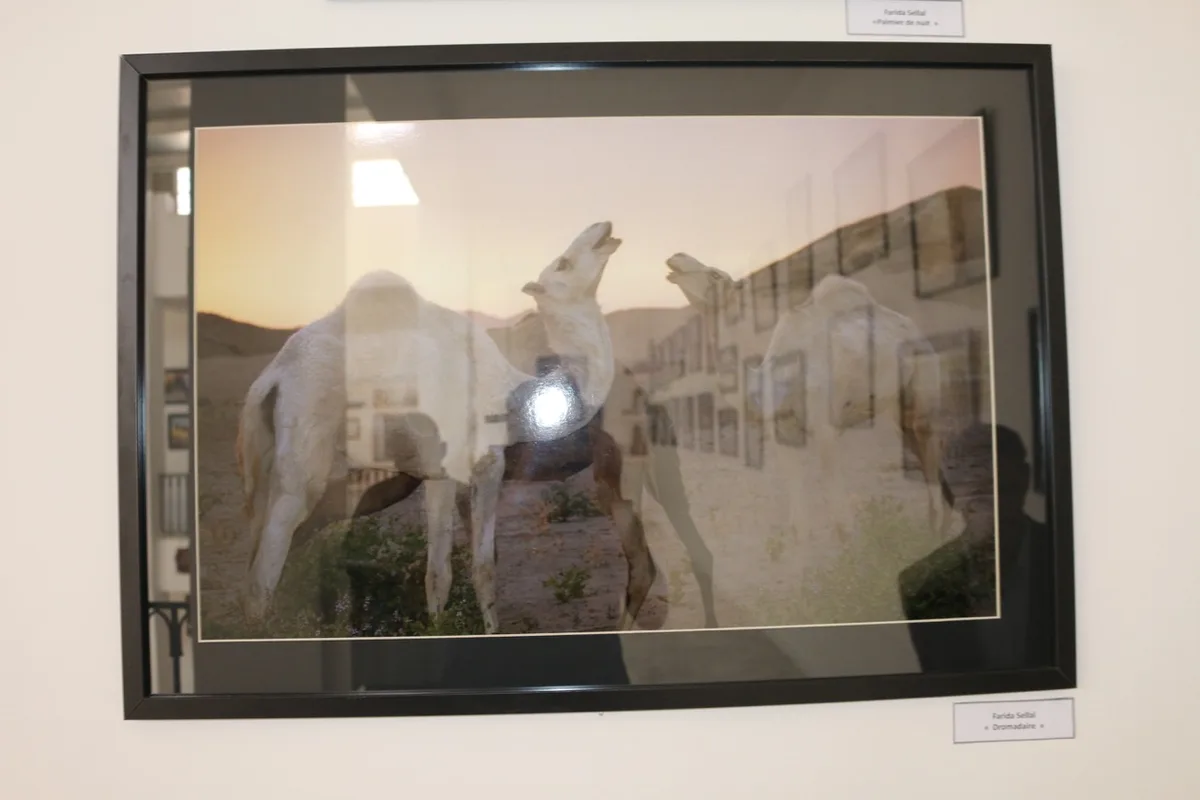 Museum of Dar El Imzad — photo 146 of 157