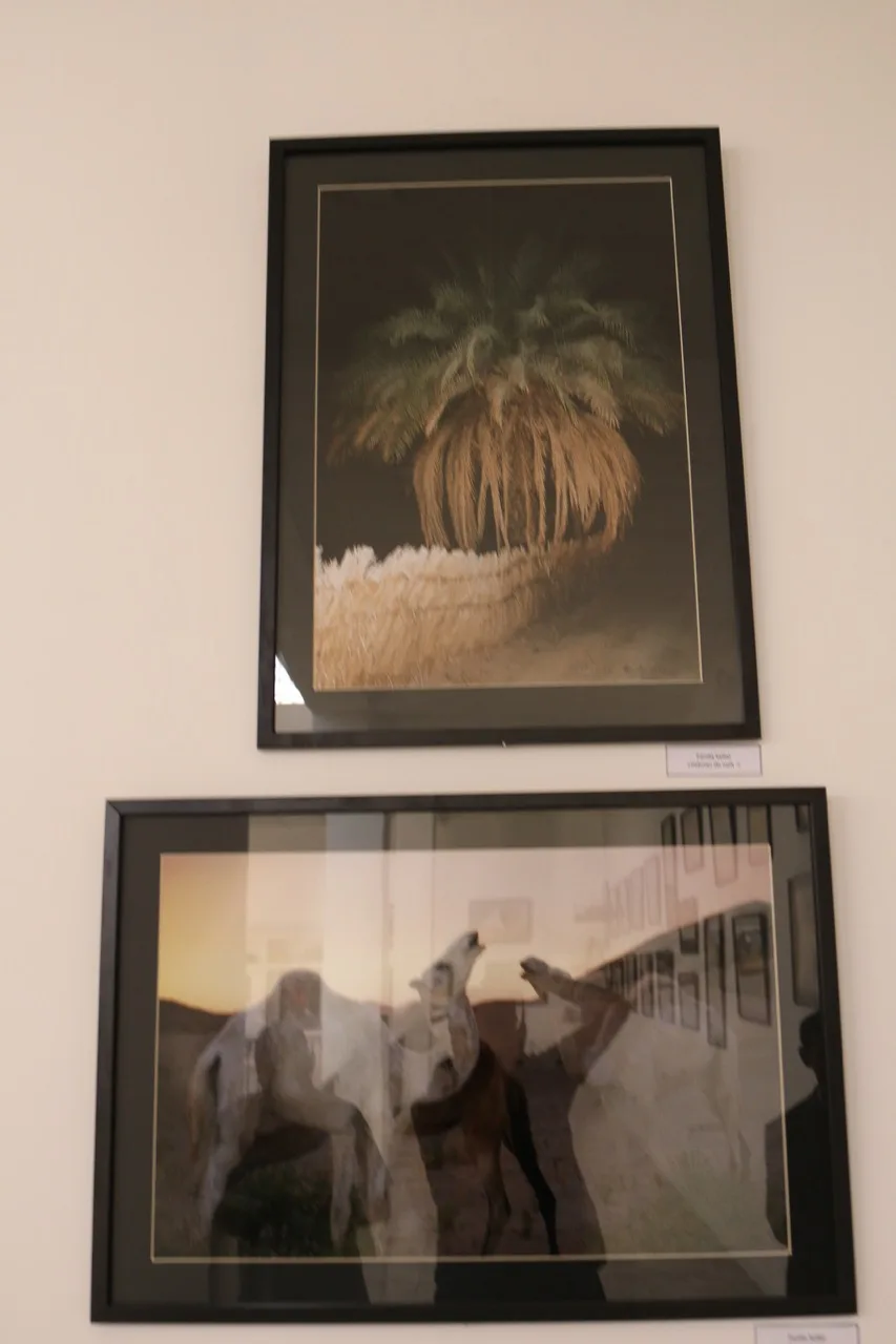 Museum of Dar El Imzad — photo 143 of 157