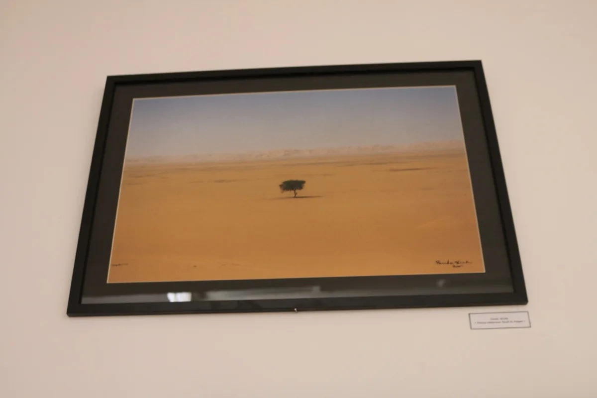 Museum of Dar El Imzad — photo 138 of 157