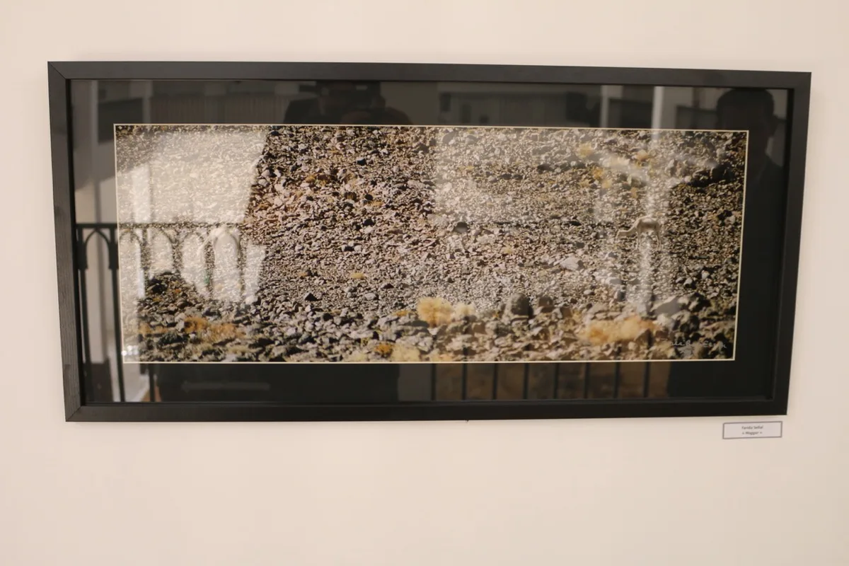 Museum of Dar El Imzad — photo 136 of 157