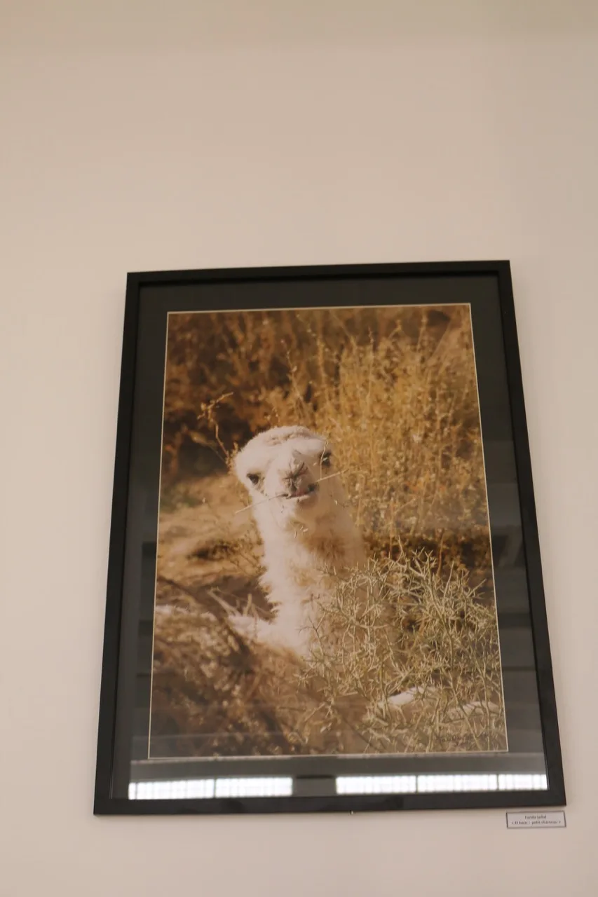 Museum of Dar El Imzad — photo 135 of 157