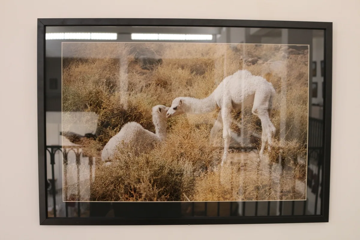 Museum of Dar El Imzad — photo 133 of 157