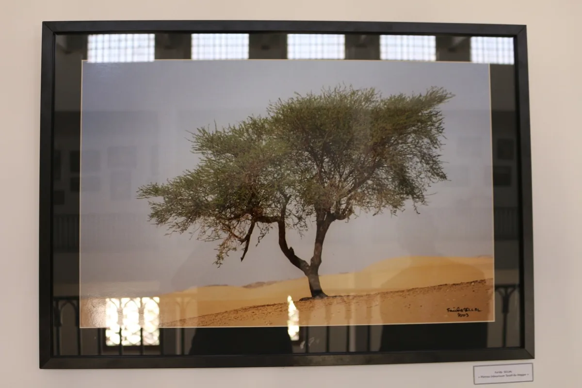 Museum of Dar El Imzad — photo 114 of 157