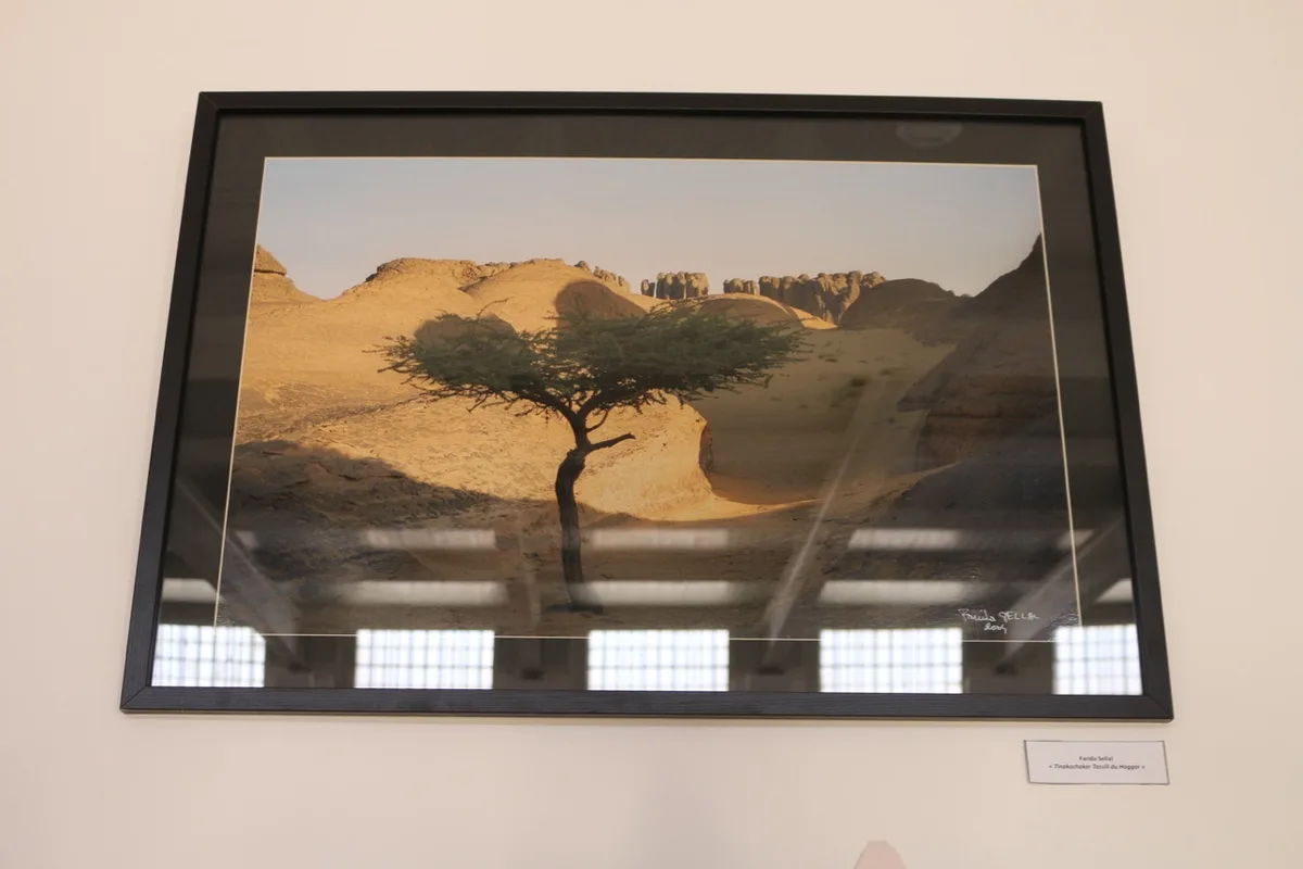 Museum of Dar El Imzad — photo 113 of 157