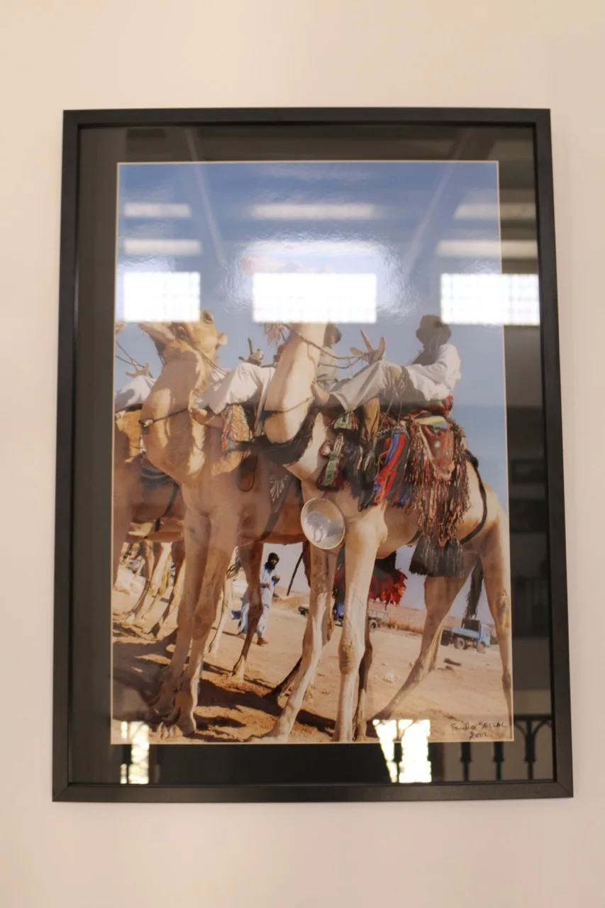 Museum of Dar El Imzad — photo 100 of 157