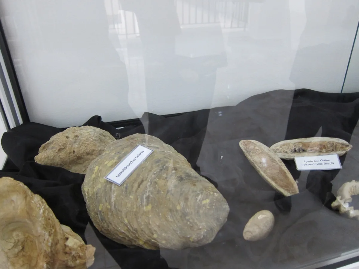 Museum of Dar El Imzad — photo 9 of 44