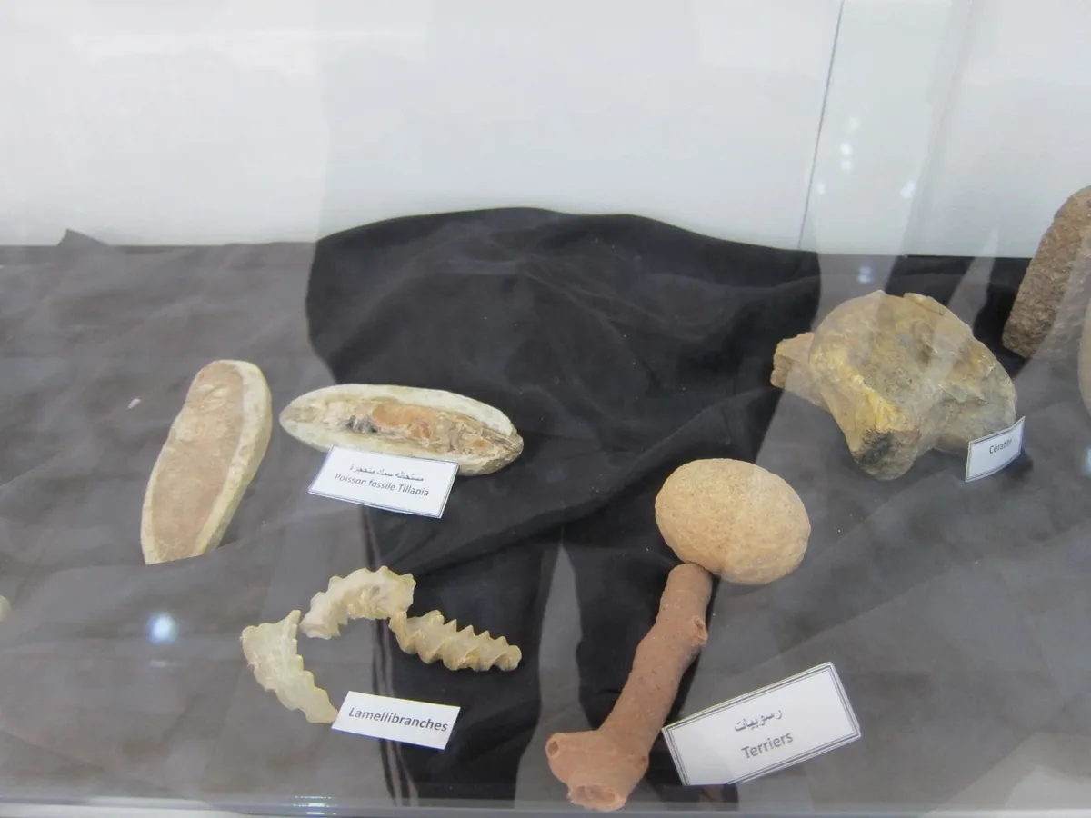 Museum of Dar El Imzad — photo 13 of 44