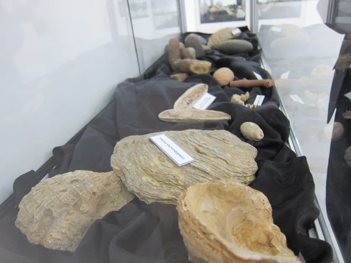 Museum of Dar El Imzad — photo 11 of 44